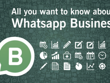CHANSeL | WhatsApp Business: что это и как использовать бизнесу